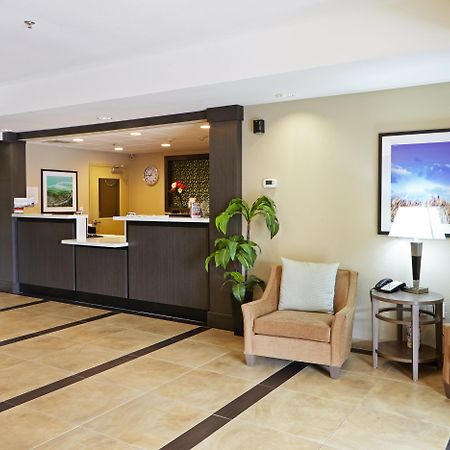 Candlewood Suites San Antonio Airport By Ihg Εξωτερικό φωτογραφία