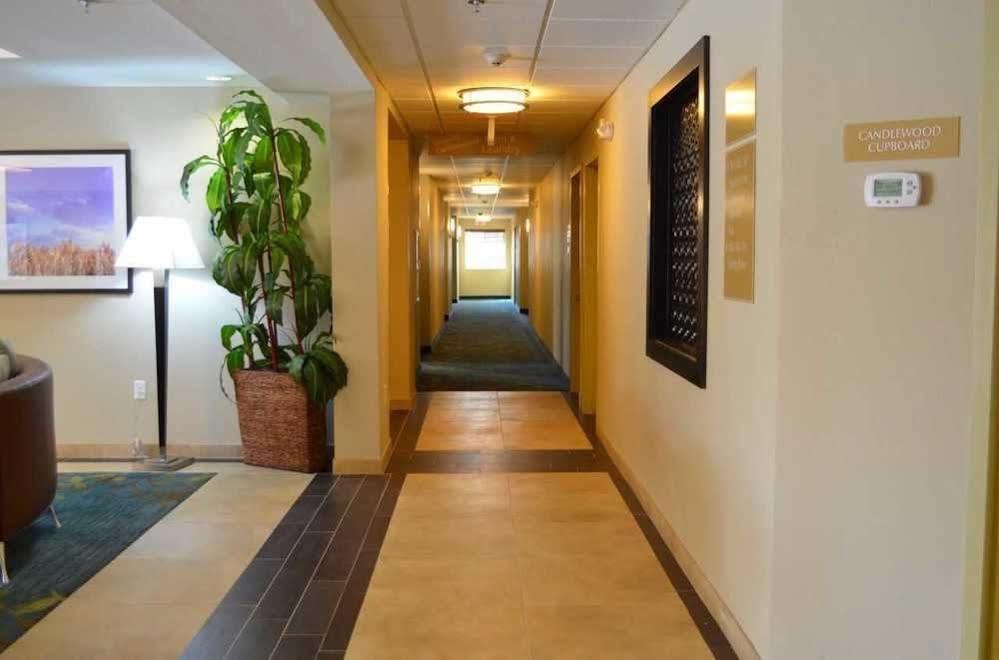 Candlewood Suites San Antonio Airport By Ihg Εξωτερικό φωτογραφία